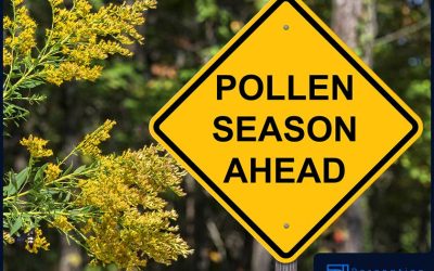 Treating Itchy Eyes and Other Eye allergies